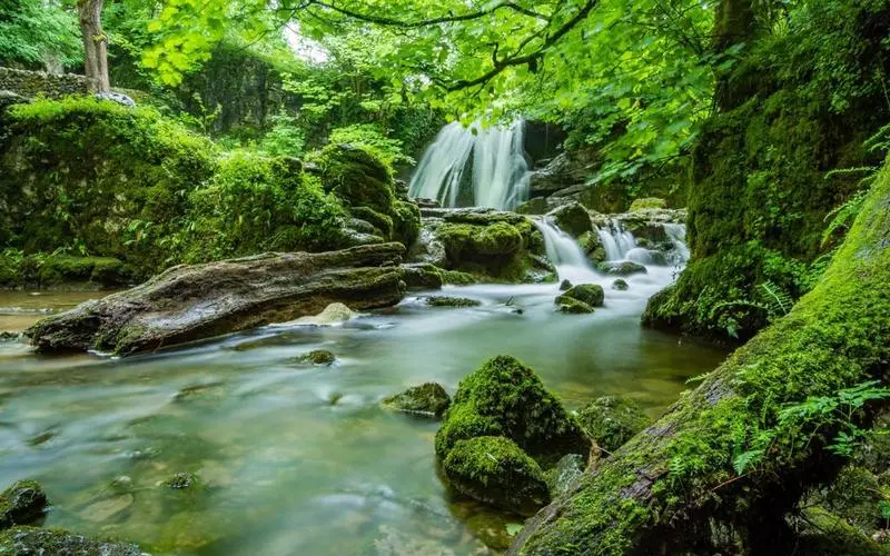 独特节能高端